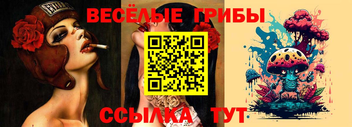 Псилоцибиновые грибы Magic Shrooms Майский